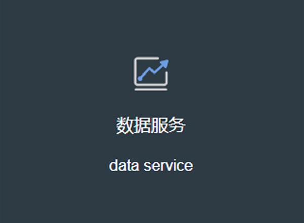 数据服务